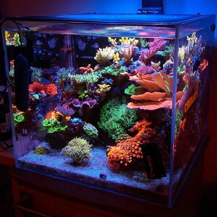 Aquascaping