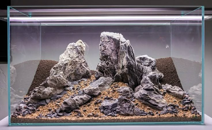 Aquarium maintenance